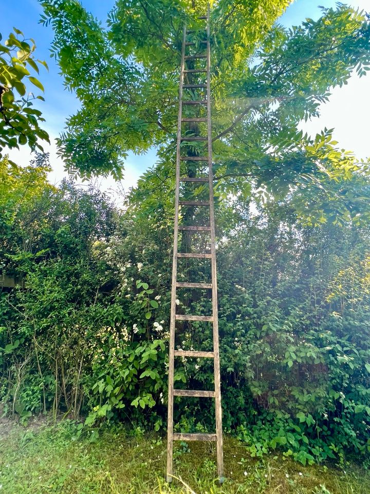 Leiter Holzleiter 5 Meter / 19 Sprossen in Stuttgart