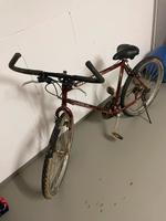 MTB Altus 20 mit 21 Gang Shimano Schaltung Nordrhein-Westfalen - Swisttal Vorschau