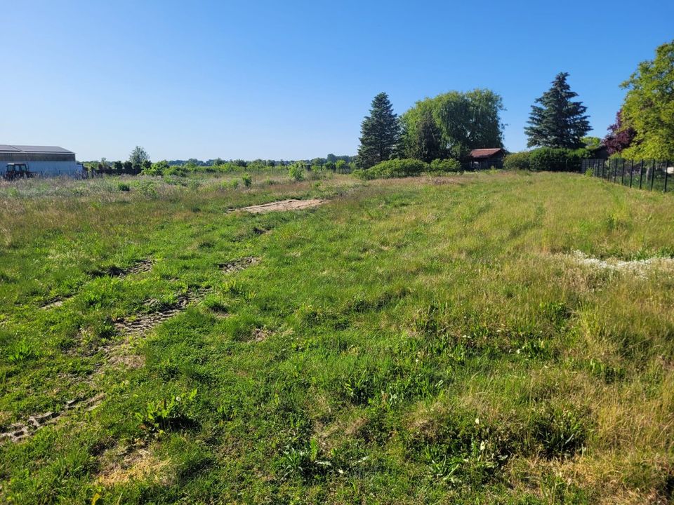 Grosse Baugrundstücke mit Weitblick in Oberkrämer - Provisionsfrei - 30 Minuten vom Berliner Zentrum ! in Oberkrämer