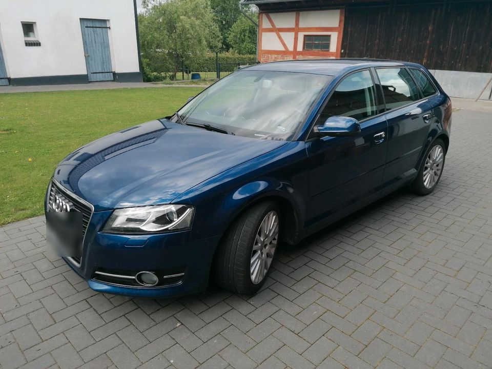 Audi A3 1.6 TDI in Luckau