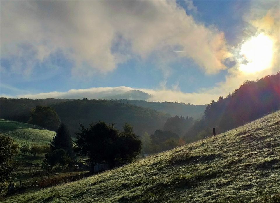 Odenwald: Ruhe und Natur für 2-5 Pers. im urigen Bauernhaus in Rimbach