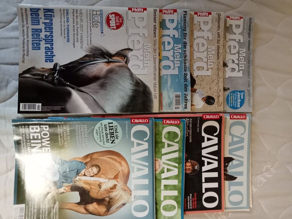 CAVALLO / Mein Pferd Zeitschriften - 8 Stück in Friedland