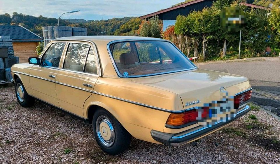 Mercedes Benz 200 D W123 in Birkenfeld