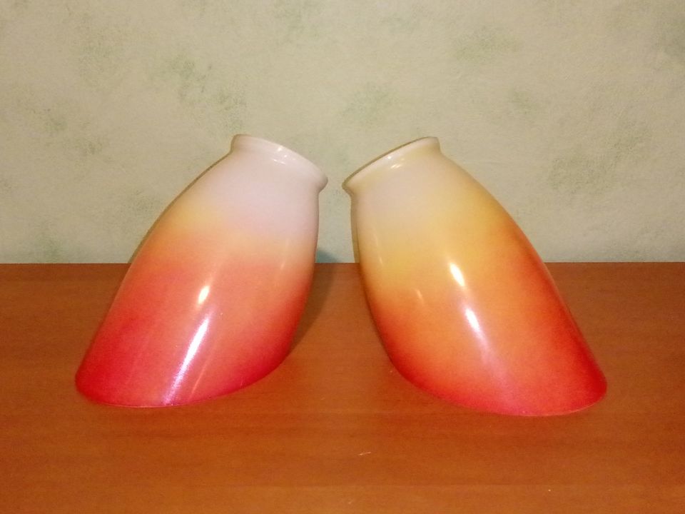 2 Lampengläser, Glastulpen, Lampenschirme in Cochem an der Mosel