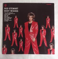 Rod Stewart Schallplatte vinyl lp Bayern - Hofkirchen Vorschau