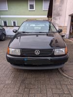 Volkswagen Polo 1.0 6n Baden-Württemberg - Kappel-Grafenhausen Vorschau