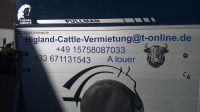 Pferdeanhänger  Vermietung Mieten Rheinland-Pfalz - Scheibenhardt Vorschau