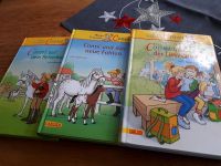 3 Conny Bücher Saarland - Schwalbach Vorschau
