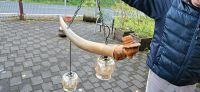 Lampe Luster Lammhorn Antiquitäten Selten Nordrhein-Westfalen - Gummersbach Vorschau