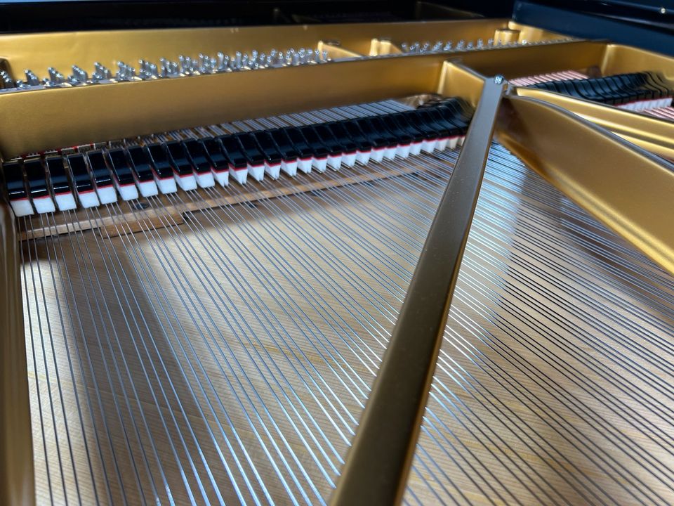 Steinway & Sons B-211 , exzellent,renoviert in Ahrensburg