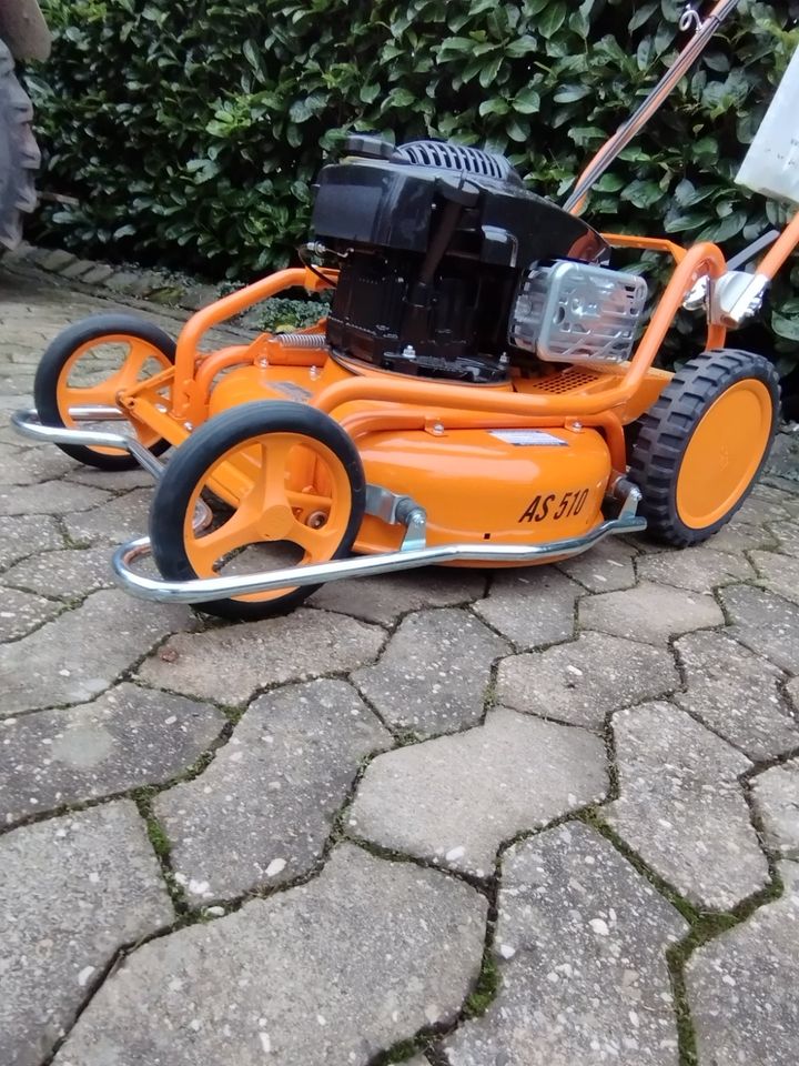 AS Mäher, Wiesenmäher, Hochgrsmäher in RheinlandPfalz Kinderbeuern