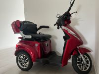 NEU: ECONELO Dreiradroller S1000 Elektromobil Seniorenmobil rot Mecklenburg-Vorpommern - Ferdinandshof Vorschau
