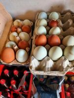 Frische hühner Eier Nordrhein-Westfalen - Heinsberg Vorschau