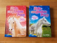 Kinderbuch * Mein magisches Pony* Saarbrücken-West - Gersweiler Vorschau