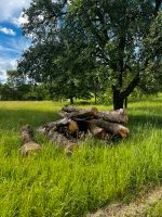 Verschiedenes Stammholz Baum Holz Baden-Württemberg - Backnang Vorschau