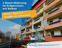 1-Raum-Wohnung im Erdgeschoss mit Balkon Sachsen - Wilthen Vorschau