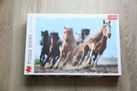 Pferde Motiv Puzzle Pferd Galopp 1000 Teile 68 x 48 cm Trefl Nordrhein-Westfalen - Königswinter Vorschau