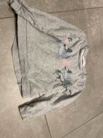 Pulli Pullover Pferde grau H&M Grösse 110 116 Baden-Württemberg - Karlsruhe Vorschau