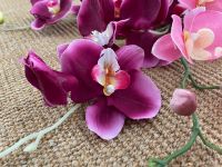 Künstliche Blumen/ Pflanzen - Orchidee Brandenburg - Frankfurt (Oder) Vorschau