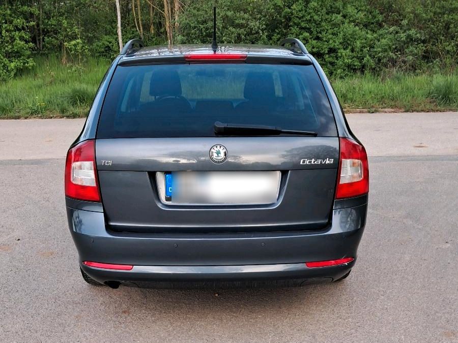 Skoda Octavia Combi 1,6 TDI DSG in Ginsheim-Gustavsburg