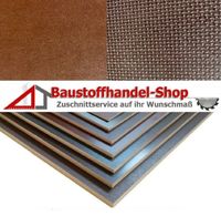 Siebdruckplatte 15 mm Multiplex Anhängerplatte 2150x4000mm XXL Rheinland-Pfalz - Winnweiler Vorschau