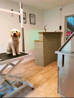 Hundesalon Dog Groomer Fellkunst Baden-Württemberg - Kehl Vorschau