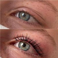 Lashlifting Browlifting kosmetische Zahnaufhellung Seminar mobil Niedersachsen - Oldenburg Vorschau