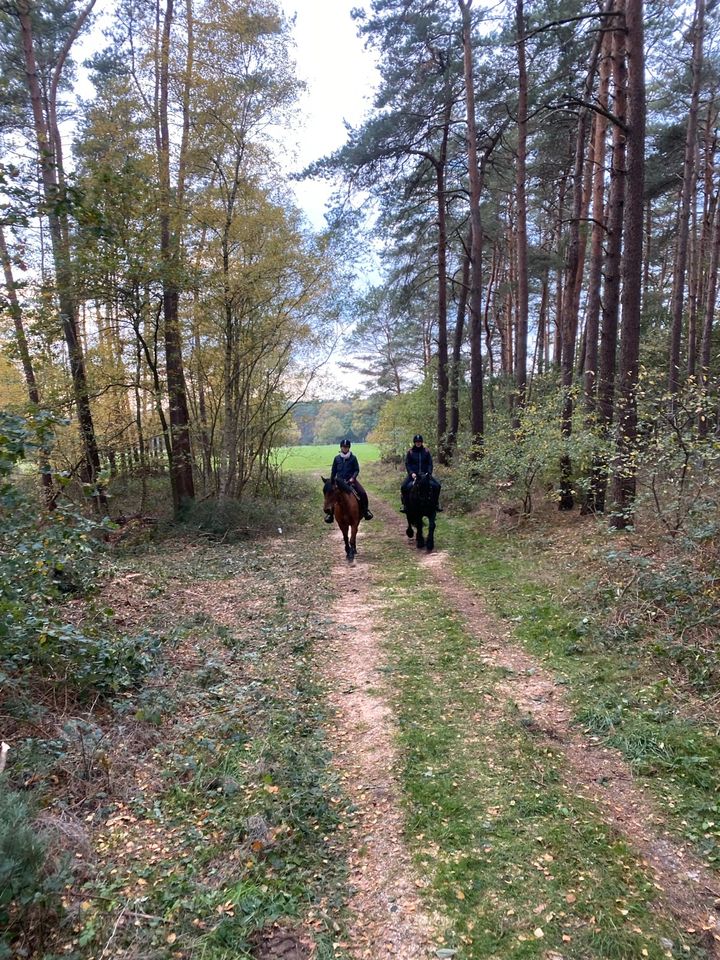 Urlaub mit eigenem Pferd - Kirchdorferheide in Kirchdorf