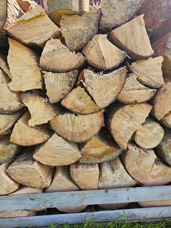 Brennholz Fichte, Feuerholz, Ofenholz, Holz in Geisenfeld