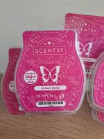 3 x Scentsy Duftwachs Bars Unicorn Kisses Hessen - Felsberg Vorschau