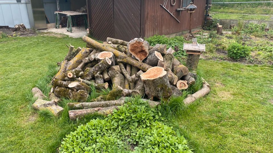 Holz für Brennholz in Laupheim