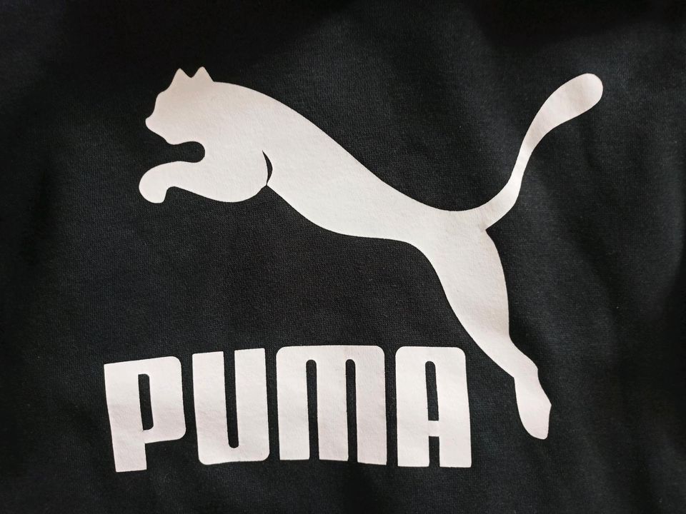 Puma 140 Hoodie Kapuzenpulli in Hollenbach