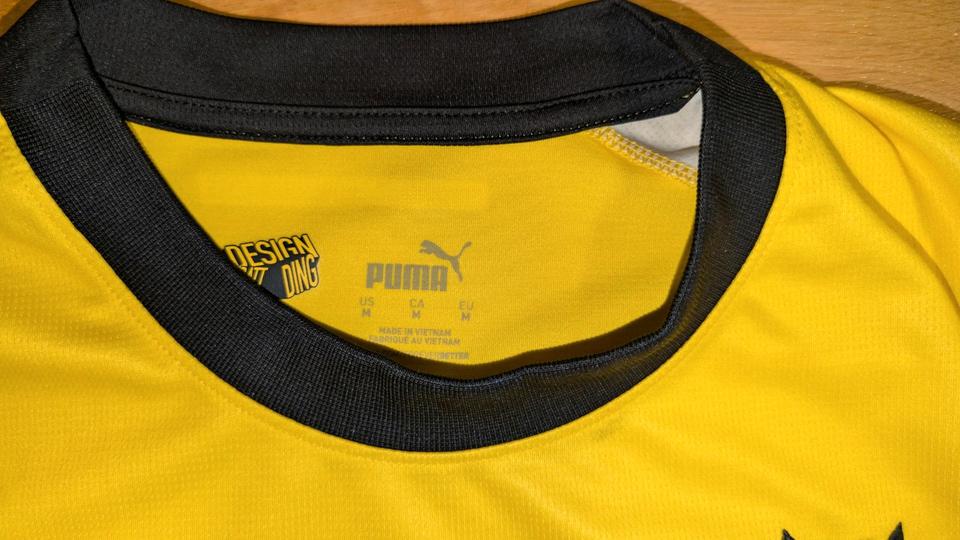 BVB FUSSBALL TRIKOT SIGNIERT 23/24 MIT UNTERSCHRIFTEN M NEU! in Dresden