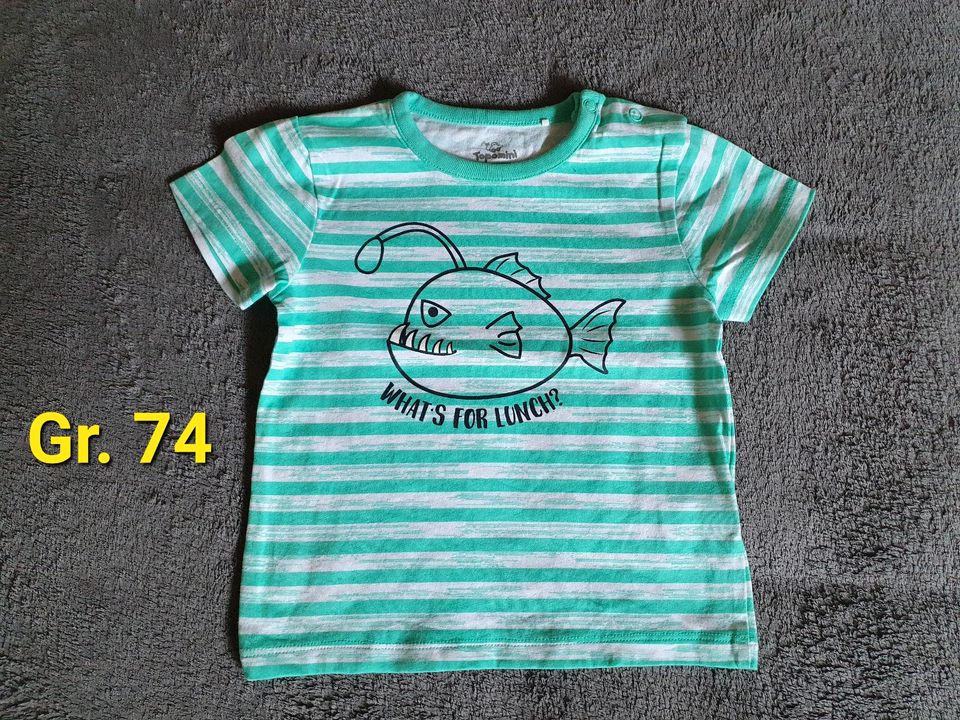 15 Baby Jungs kurzarm T-Shirts,Oberteil,Shirt,Mode,Größe 74/80 in Michelau i. OFr.