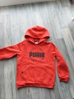 Puma Pulli/ Hoodie Gr. 128 Schleswig-Holstein - Bad Oldesloe Vorschau