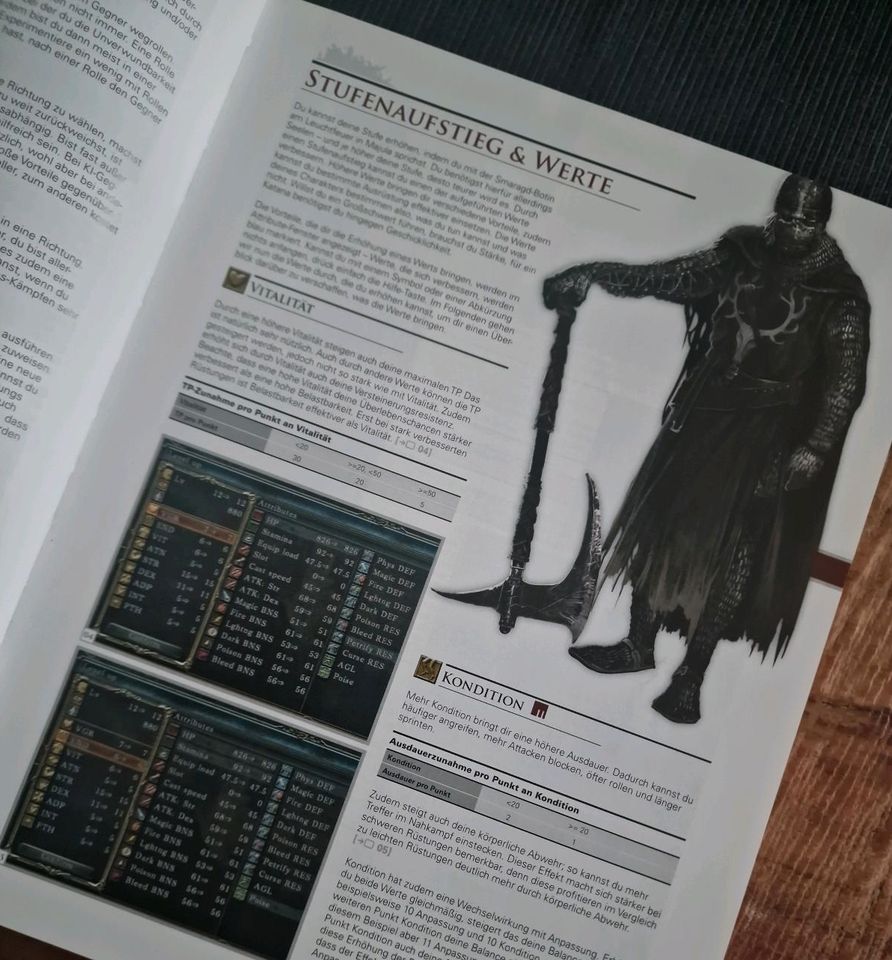 Dark Souls II Collector's Edition Guide Lösungsbuch in Enkenbach-Alsenborn