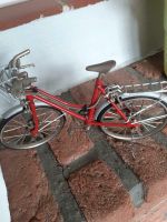 Fahrrad mit Korb aus einer Modellsammlung Niedersachsen - Wittingen Vorschau
