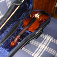 Geige mit Bogen u. Kasten Bayern - Blaichach Vorschau