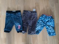 3 Hosen Jeans Thermohose Gr. 62/68 Berlin - Lichterfelde Vorschau