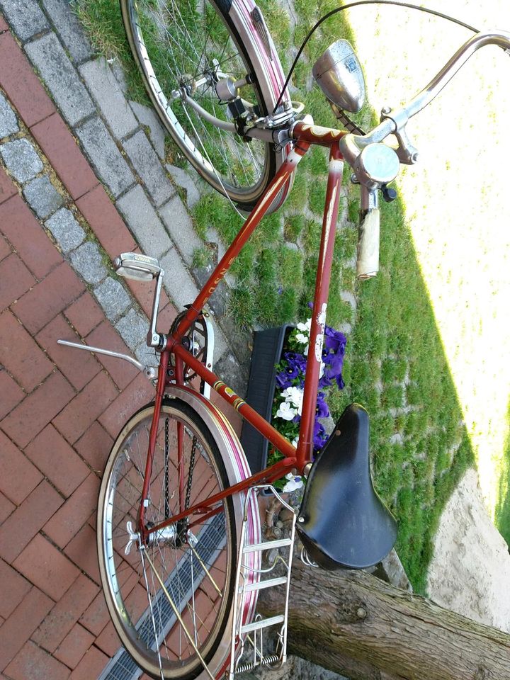 Fahrrad  NSU 26x1.75 - 47-559 ohne Gangschaltung in Kirchdorf