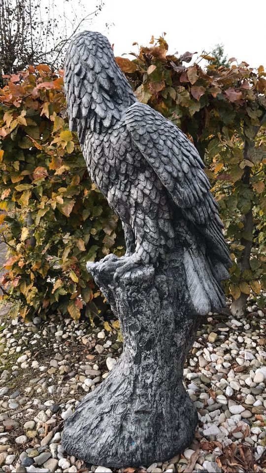 ‼️Adler 100kg 106cm Steinadler Seeadler Greifvogel Eagle Harley‼️ in Kleve