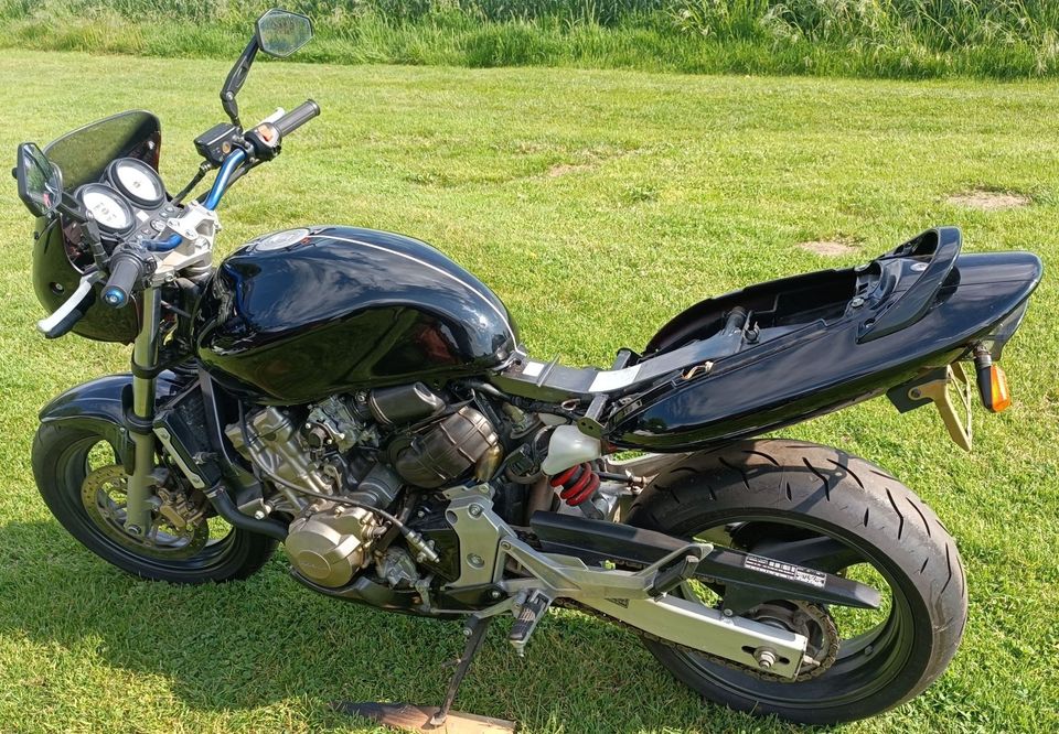 Honda Hornet 600 PC34 ***erst 22611 Kilometer*** bitte ganz lesen in Lüdinghausen