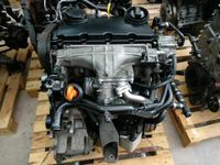 2,0 TDi Motor BRD VW Audi 2,0 TDi 125KW 170PS C6, A4 B7 137tkm Niedersachsen - Langwedel Vorschau