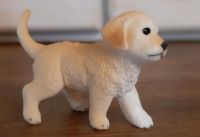 Golden Retriever Welpe SCHLEICH Nordrhein-Westfalen - Gummersbach Vorschau