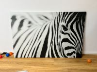 IKEA Zebra Bild Bayern - Amberg Vorschau