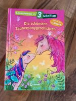 Buch Lesen lernen, 1. Klasse Zauberponygeschichten Sachsen-Anhalt - Halberstadt Vorschau