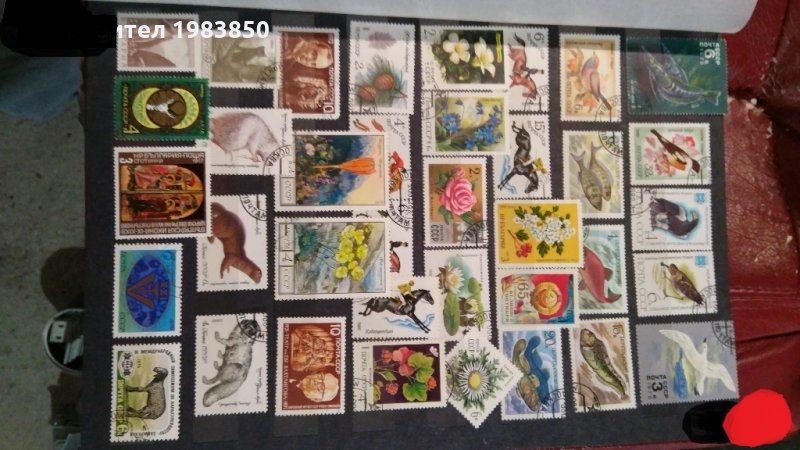 Mehrere Briefmarken Alben in Achern