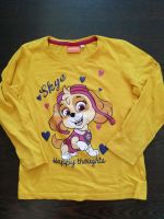 Paw Patrol Skye Pullover Gr. 122 Sachsen - Schkeuditz Vorschau