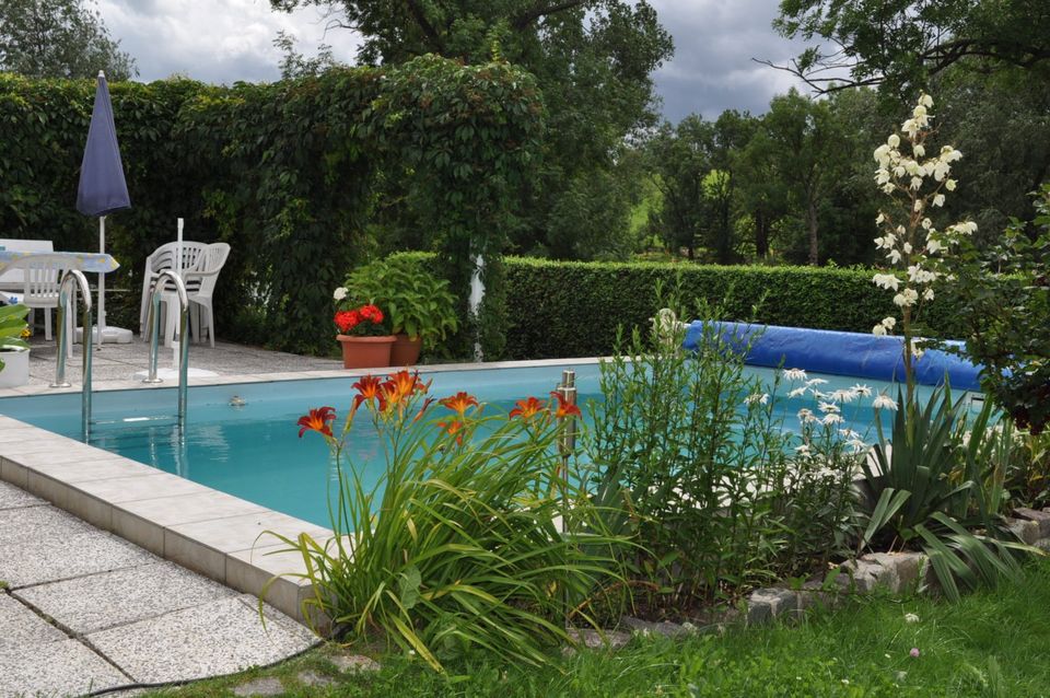 Eigenheim idyllische Lage mit Pool, kein Sanierungsbedarf in Altenberg Sachs