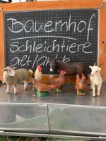 Alt/antik 25 Schleich Figuren Bauernhof Tiere Spielzeug Schaf Kuh Niedersachsen - Hameln Vorschau